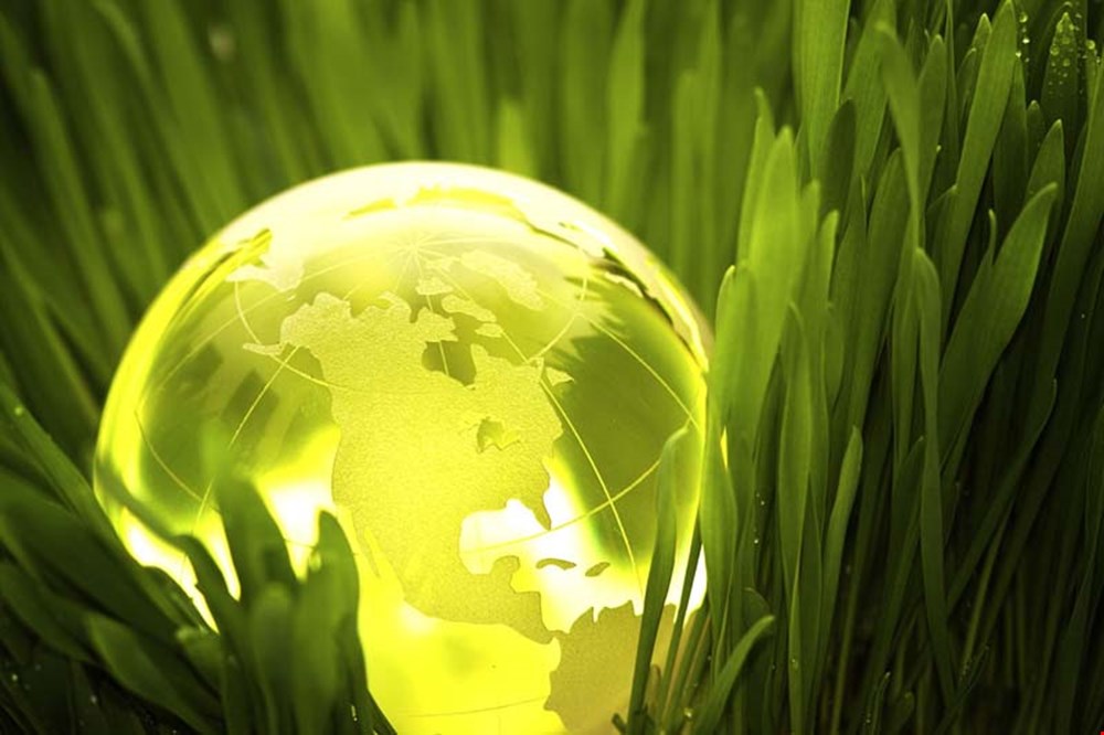 Curbing deforestation in Africa through clean energy