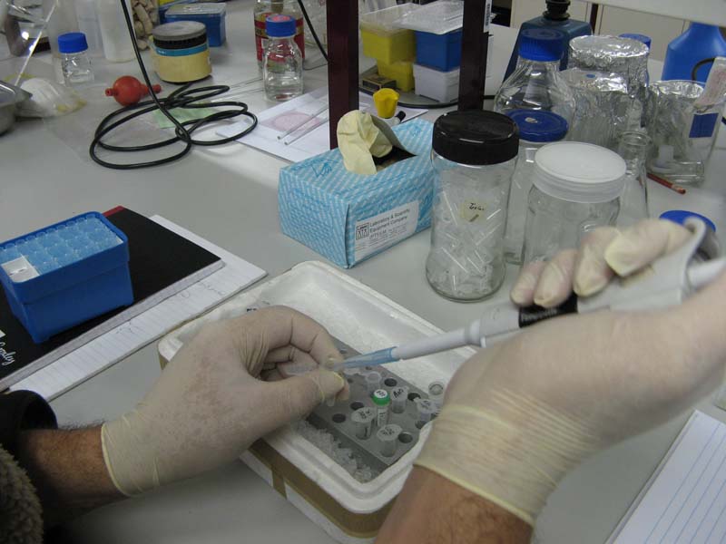 Lab work at the CUT Centre for Applied Food Security and Biotechnology