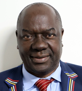 Prof. A Makura