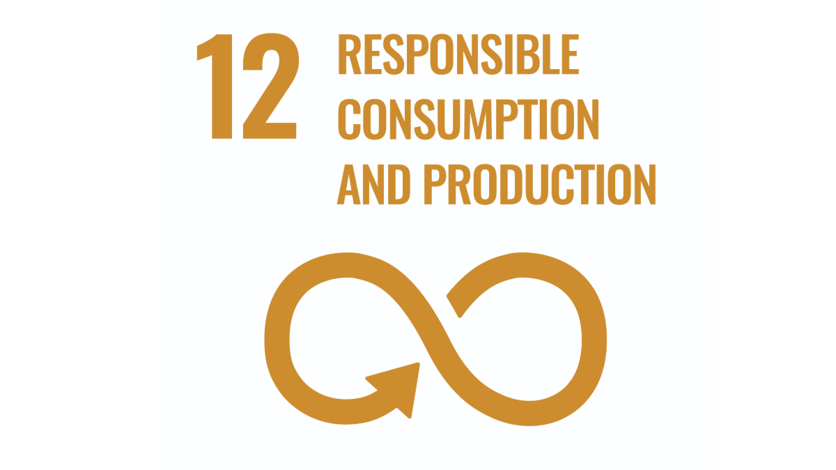 SDG 12: Responsible Consumption and Production