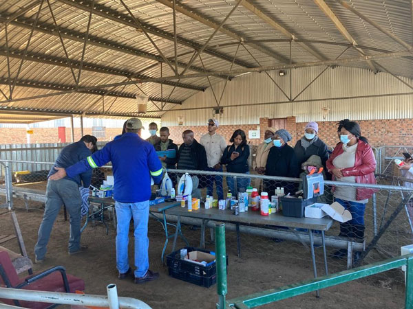 CUT is creating a platform for agriculture skills transfer among the youth CUT is creating a platform for agriculture skills transfer among the youth
